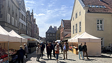 Olsztyn wypełnił się rękodziełem i aromatami regionalnych przysmaków Olsztyn wypełnił się rękodziełem i aromatami regionalnych przysmaków